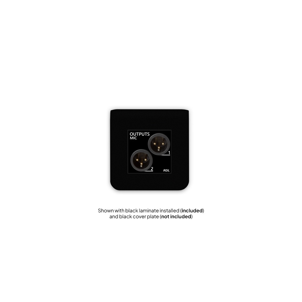 RDL EU-RN02M – lydmodul – bilde 2