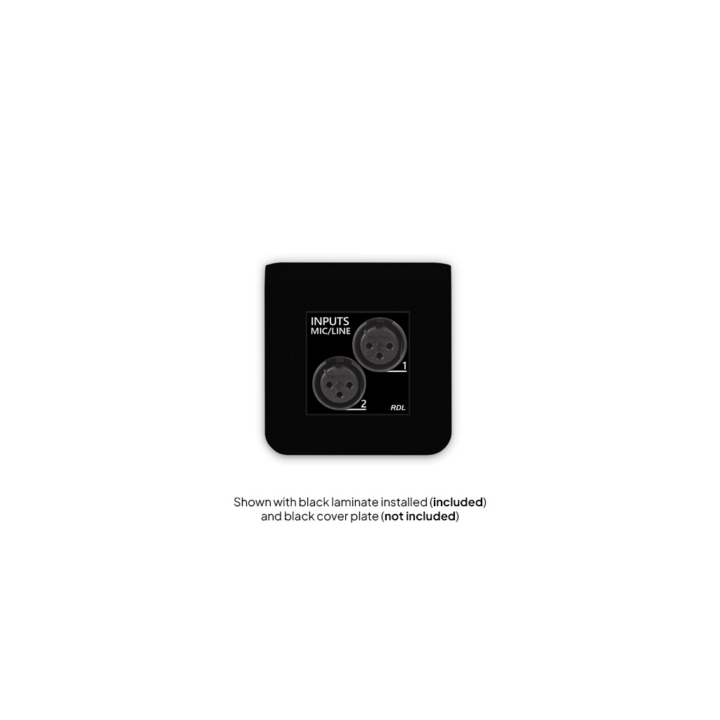 RDL EU-RN20 – lydmodul – bilde 2