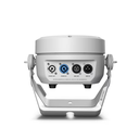 CLROOTPAR6WH_9.jpg kopi.webp