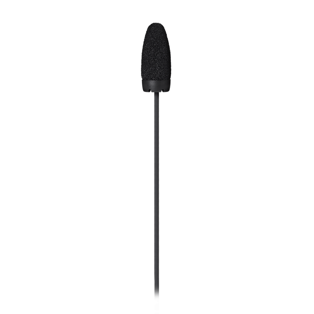 bp899_05.webp